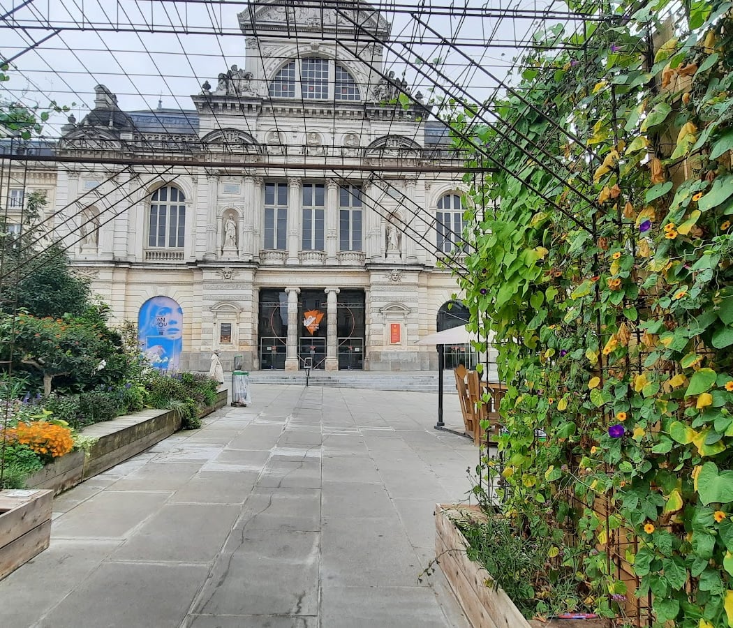 Opéra sur écrans 2025 : La Flûte enchantée 3