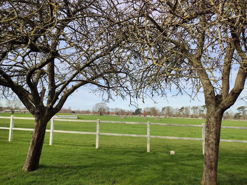 Haras de Jardy 2