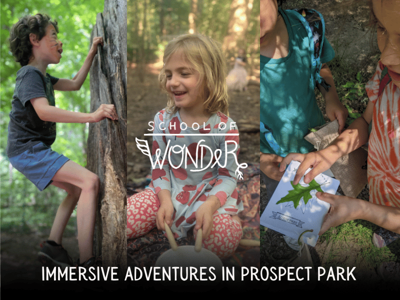 School of Wonder 1