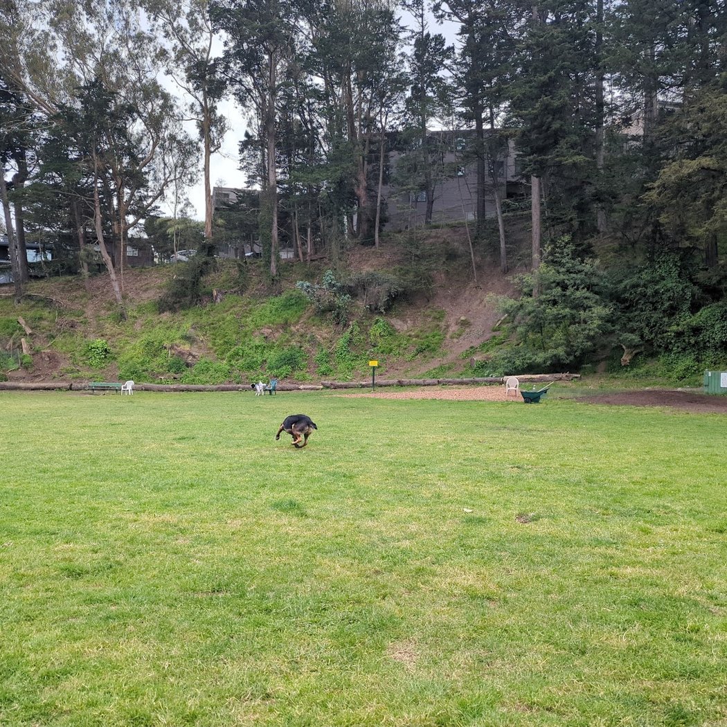Upper Douglass Dog Play Area 3