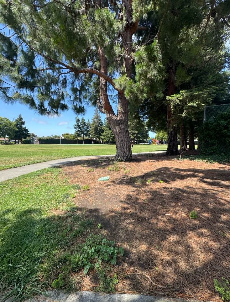 Town Estates Park 1
