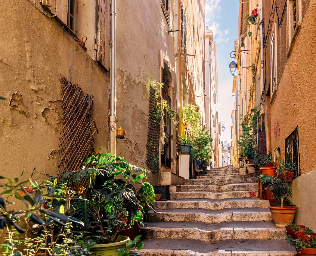 Les secrets du Panier 4