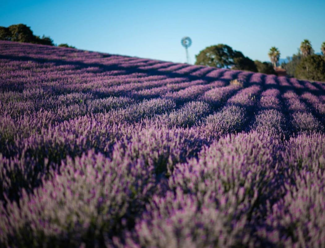High Fragrance Season 1