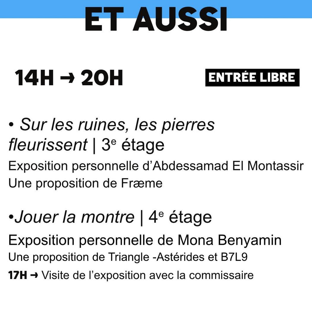 Sur les ruines, les pierres fleurissent