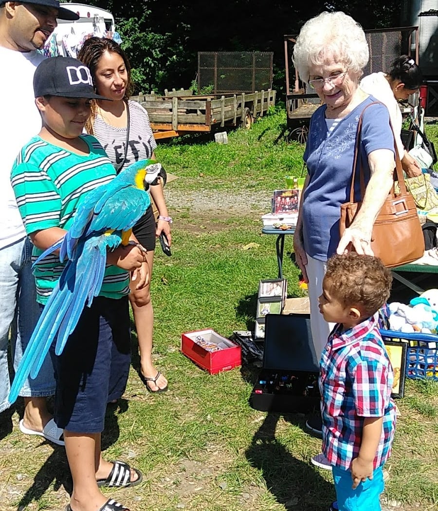 Willow Glen Flea Market 1