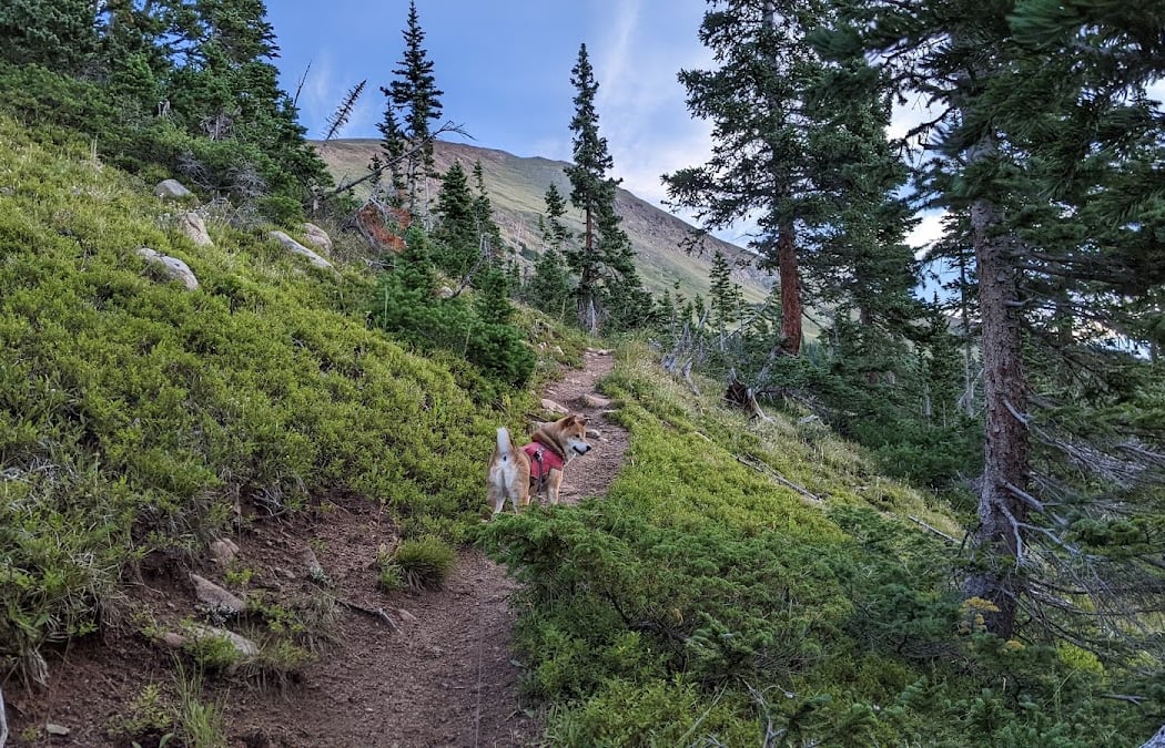 Pride on the Divide Community Hike 2