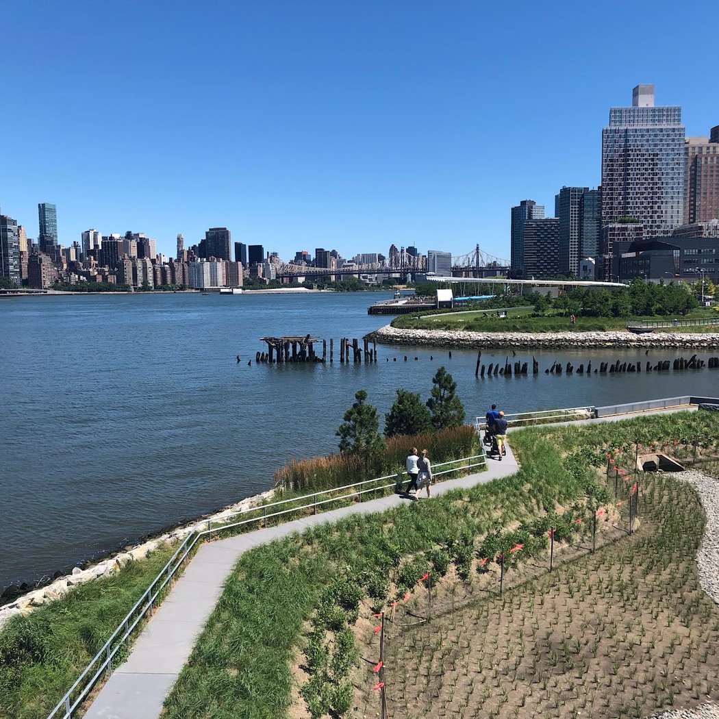 Spring Migration Walk – Queens 5