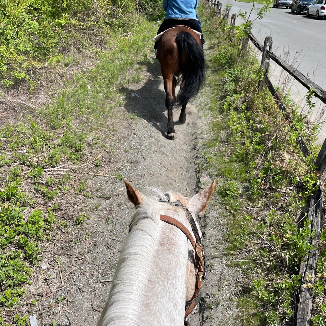 City Island Stables, Inc. 2