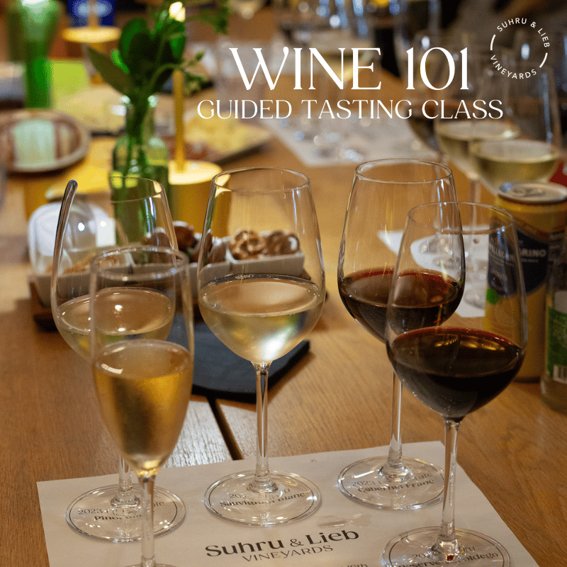 Wine 101: Guided Tasting Class 1