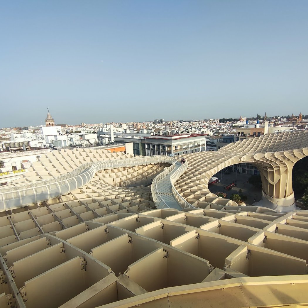 Sevilla Patrimonial: Las Setas, La Macarena y Palacio de Dueñas 2