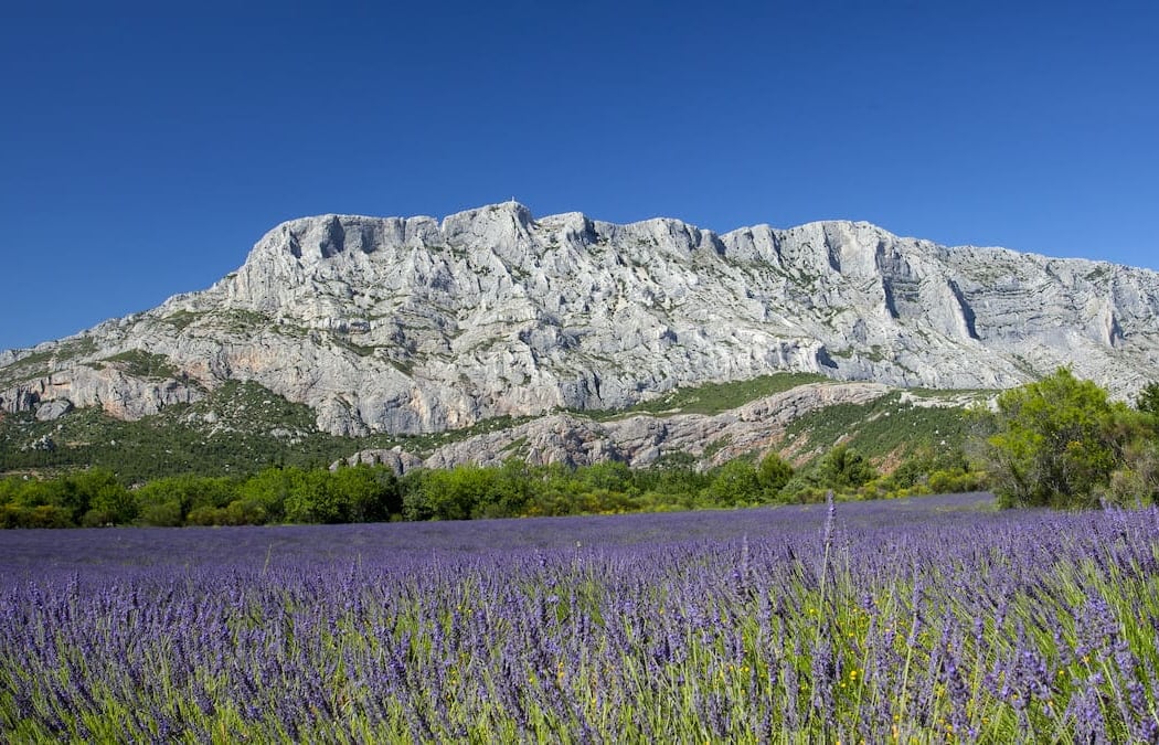 Montagne Sainte-Victoire 1