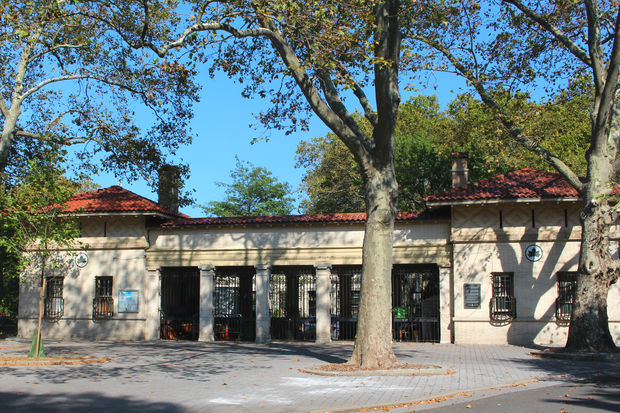A Walk Through Historic Bed-Stuy Outdoor Exploration Game 3