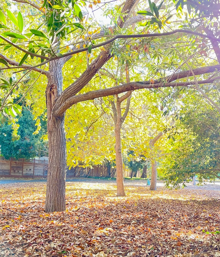 Jennings Pavilion 3
