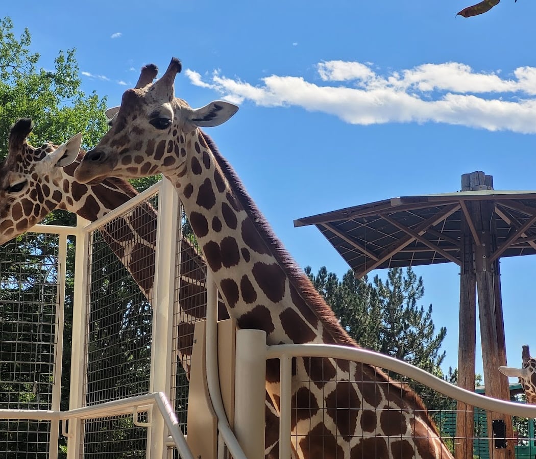 Denver City Park 3