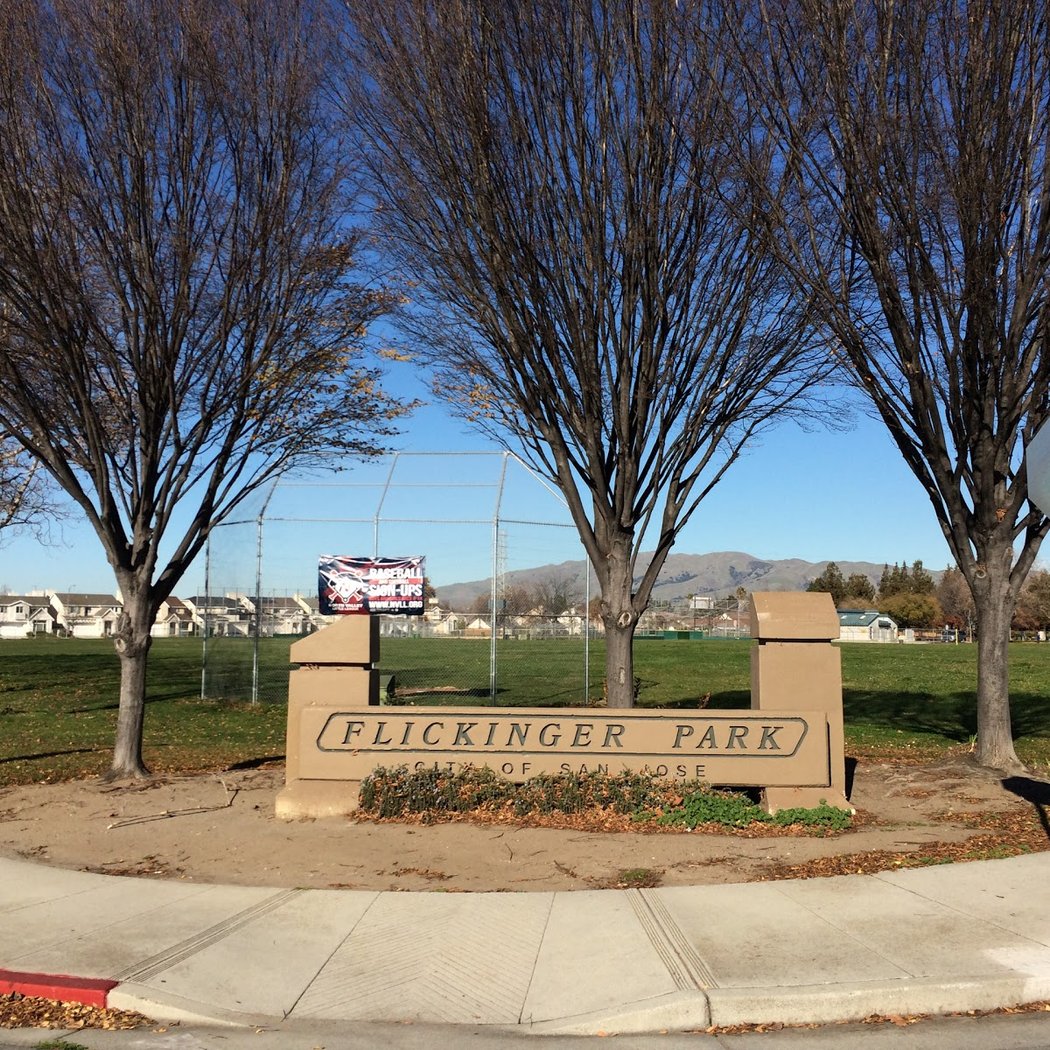 Flickinger Park 3