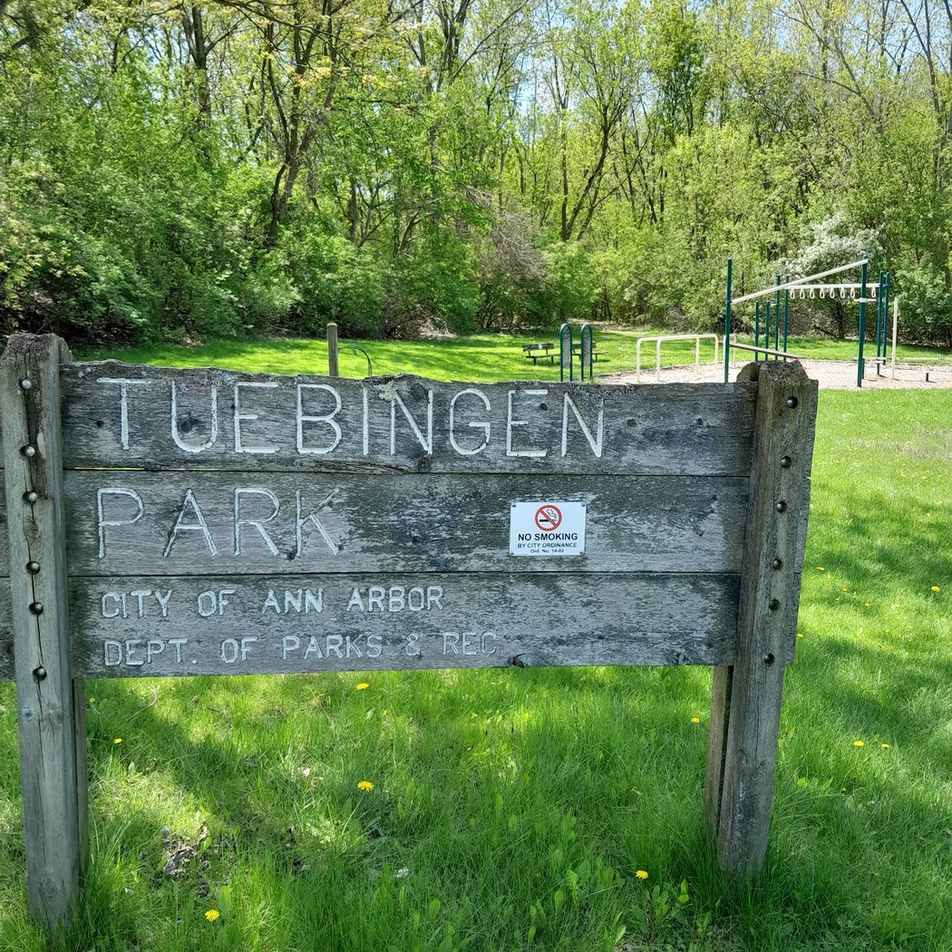 Tuebingen Park 3