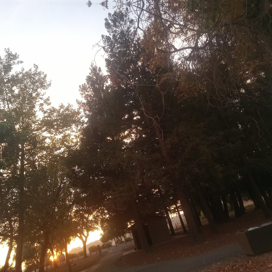 Napa Parks and Recreation 3