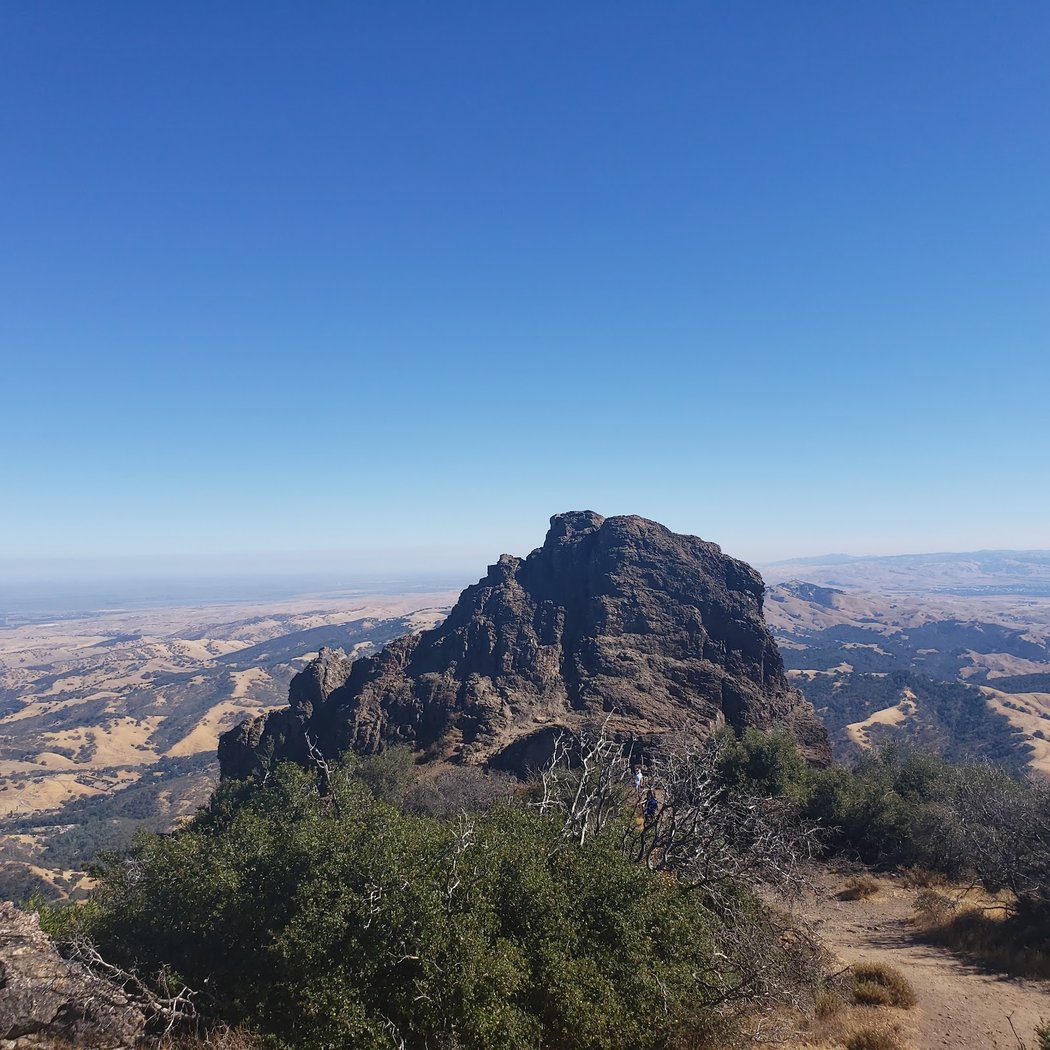 Mary Bowerman Interpretive Trail 2