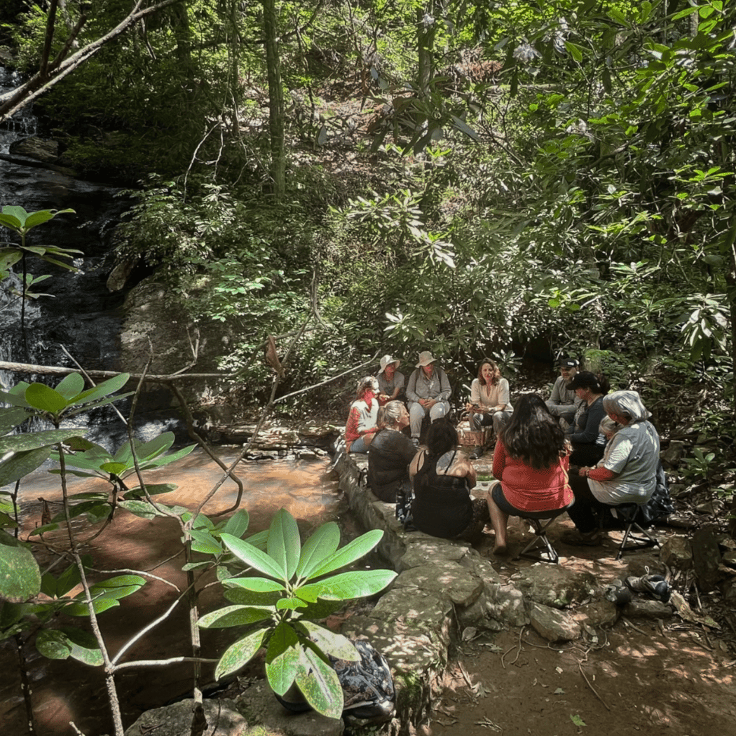 Forest Bathing 2