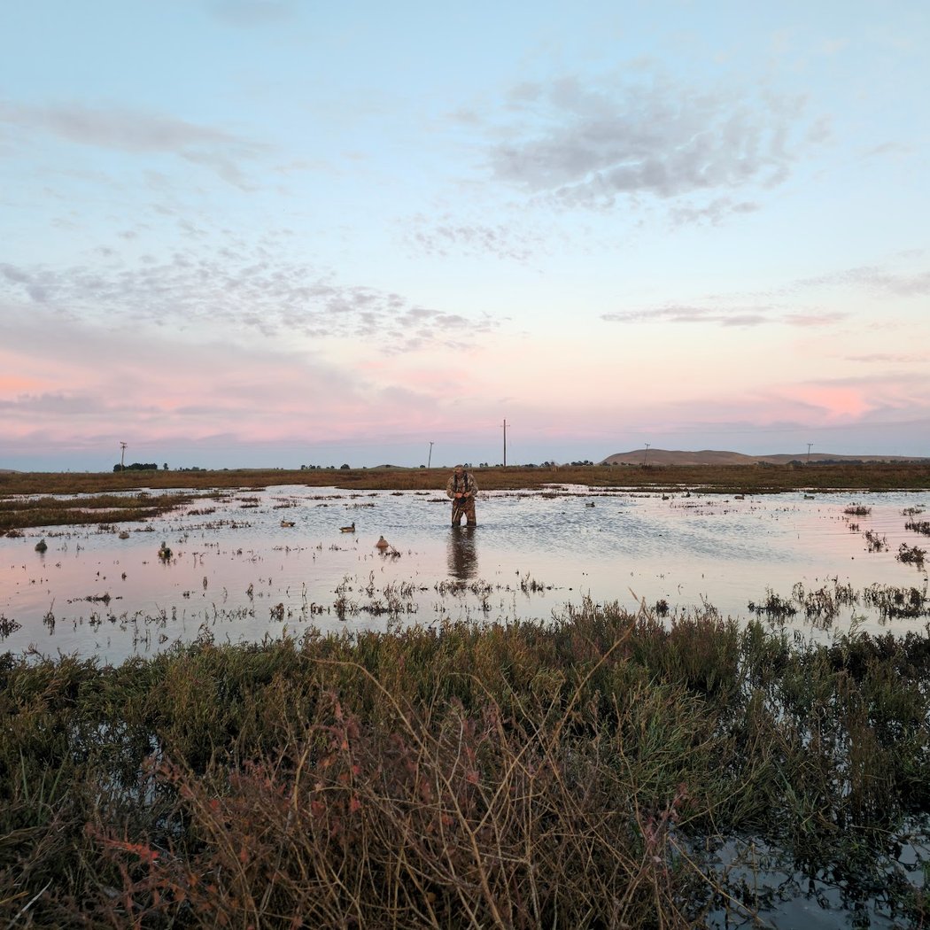 Grizzly Island Wildlife Area 3
