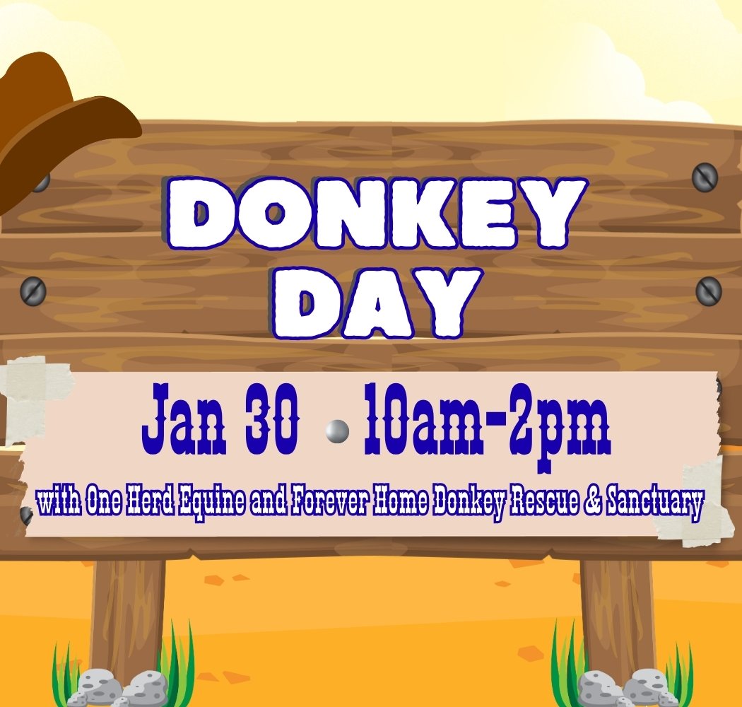 DONKEY DAY 1
