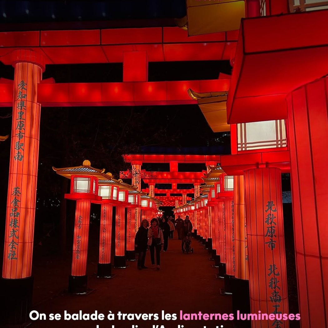 Le Japon en Lumières 1