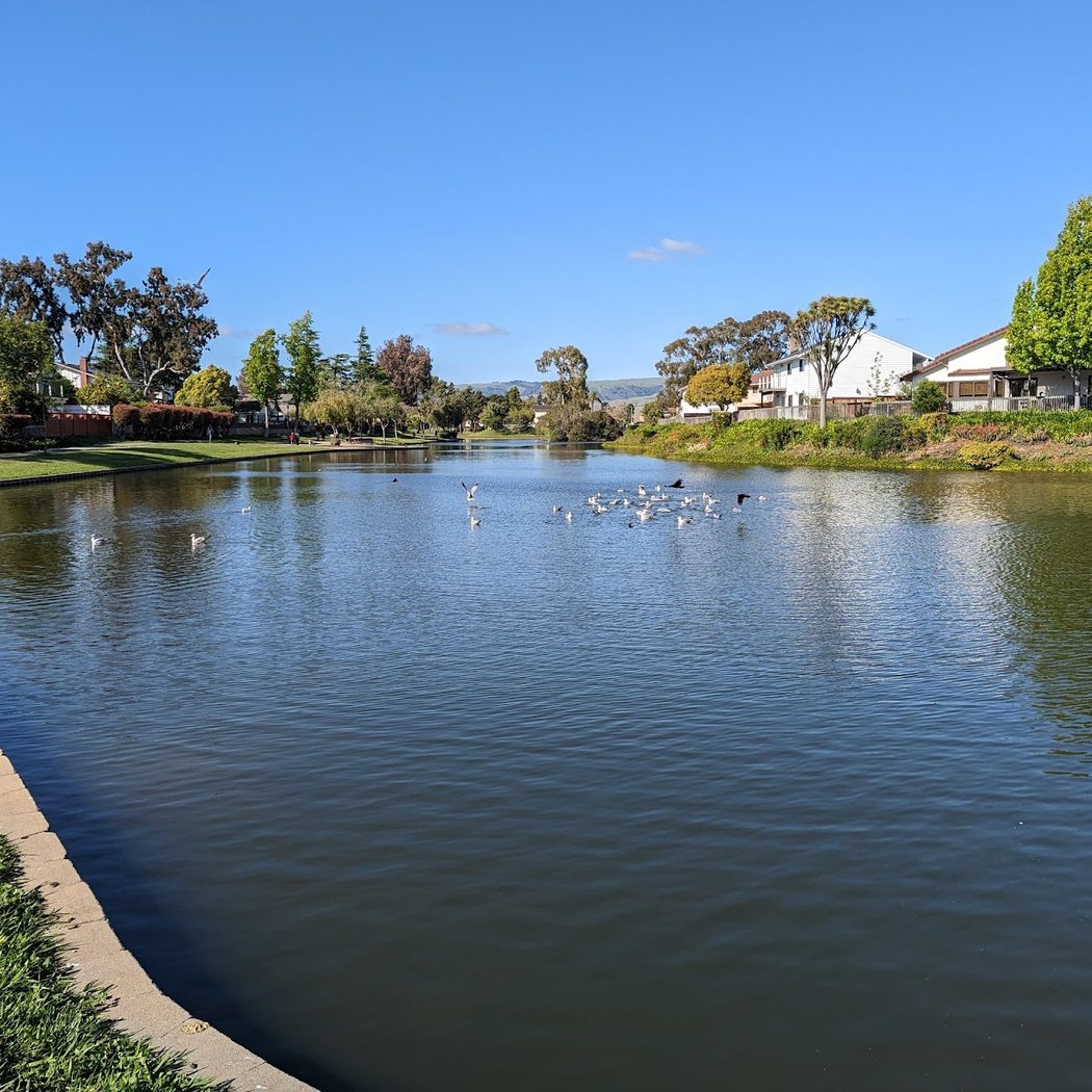 Lakeshore Park 2