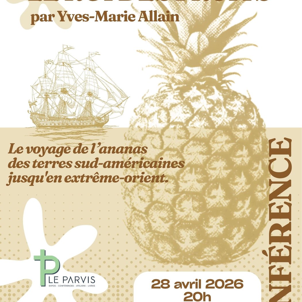 L’ananas, le Roi des Fruits 1