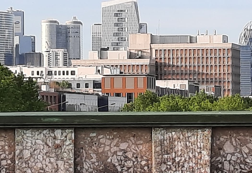 Pont de Suresnes 2