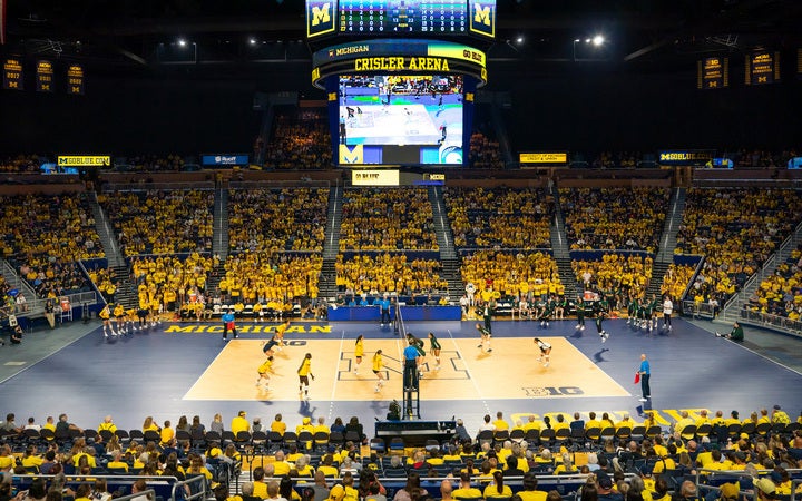 Michigan Wolverines vs. LSU Tigers 2