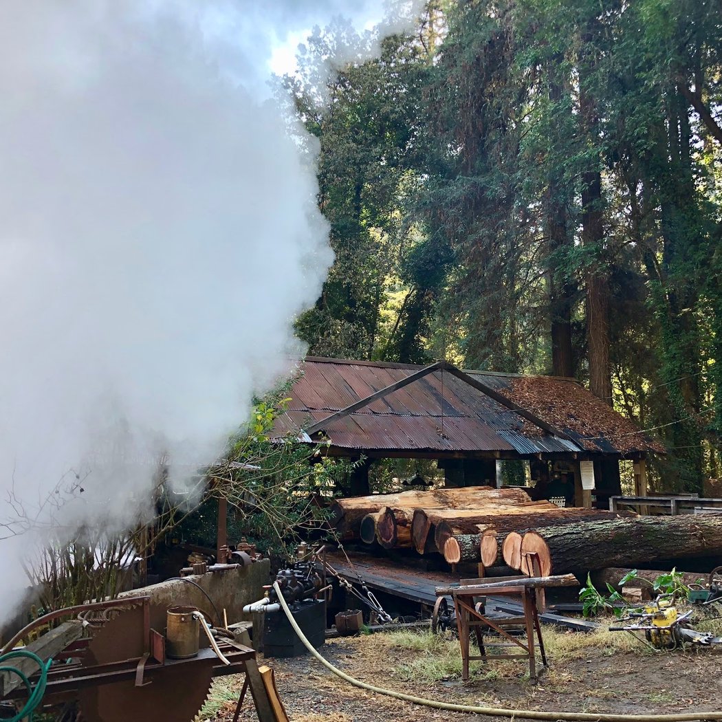Sturgeon’s Mill 2
