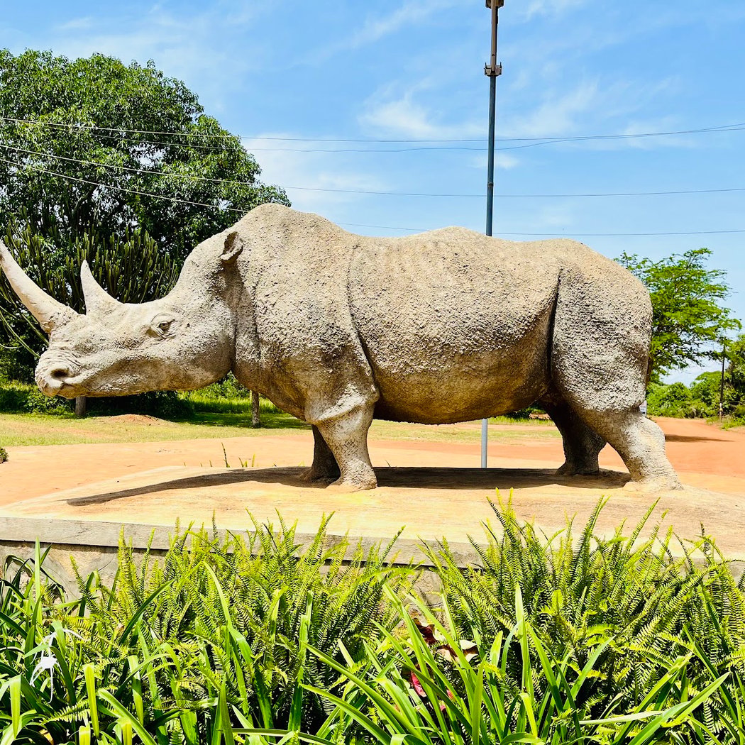 Ziwa Rhino Sanctuary 3