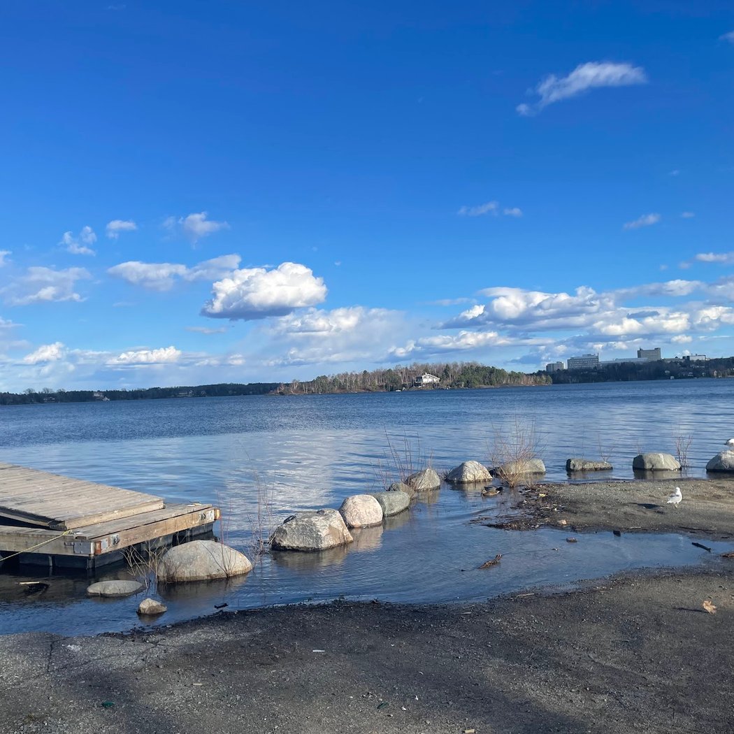 Bell Park Main Beach 2