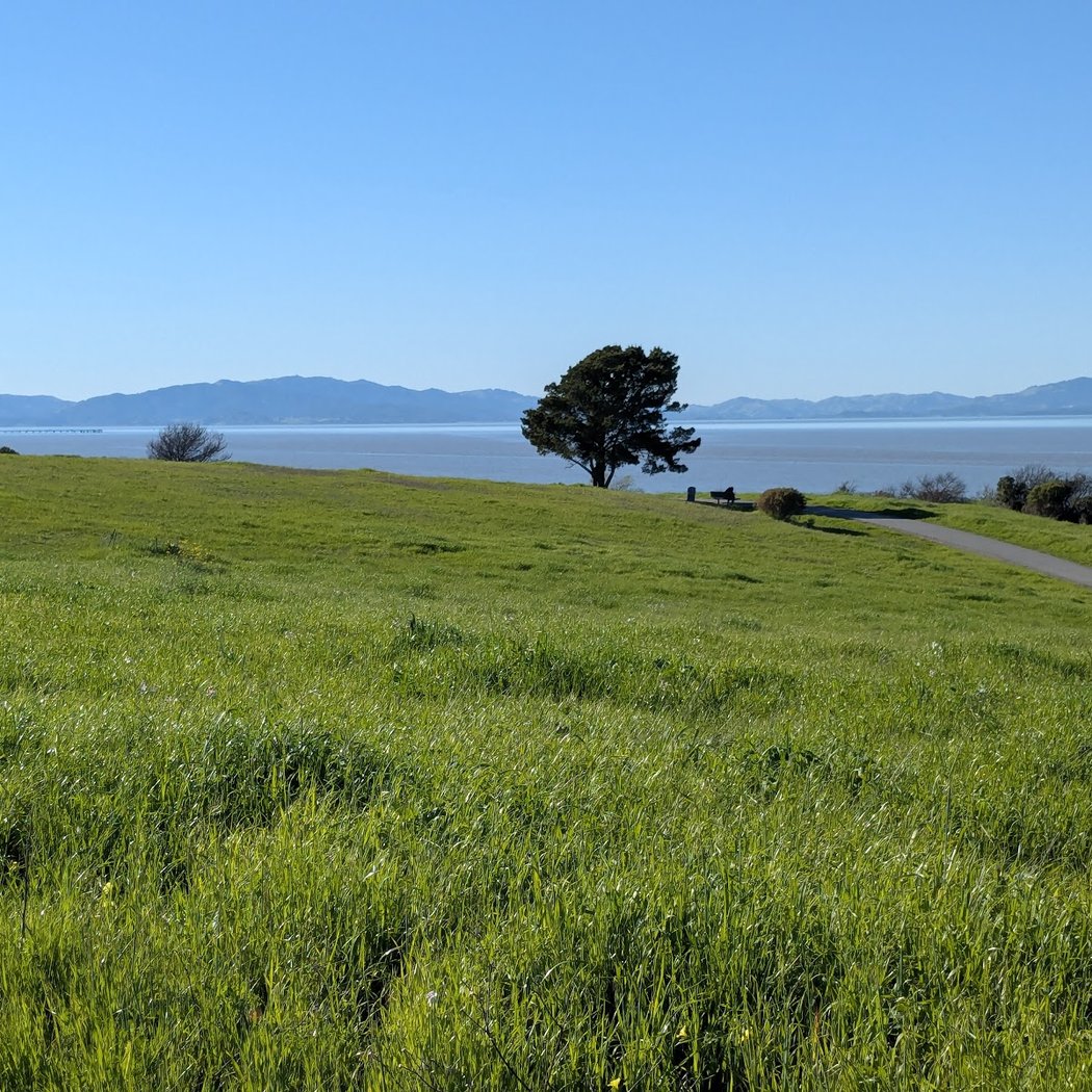 Pinole Shores Park 1