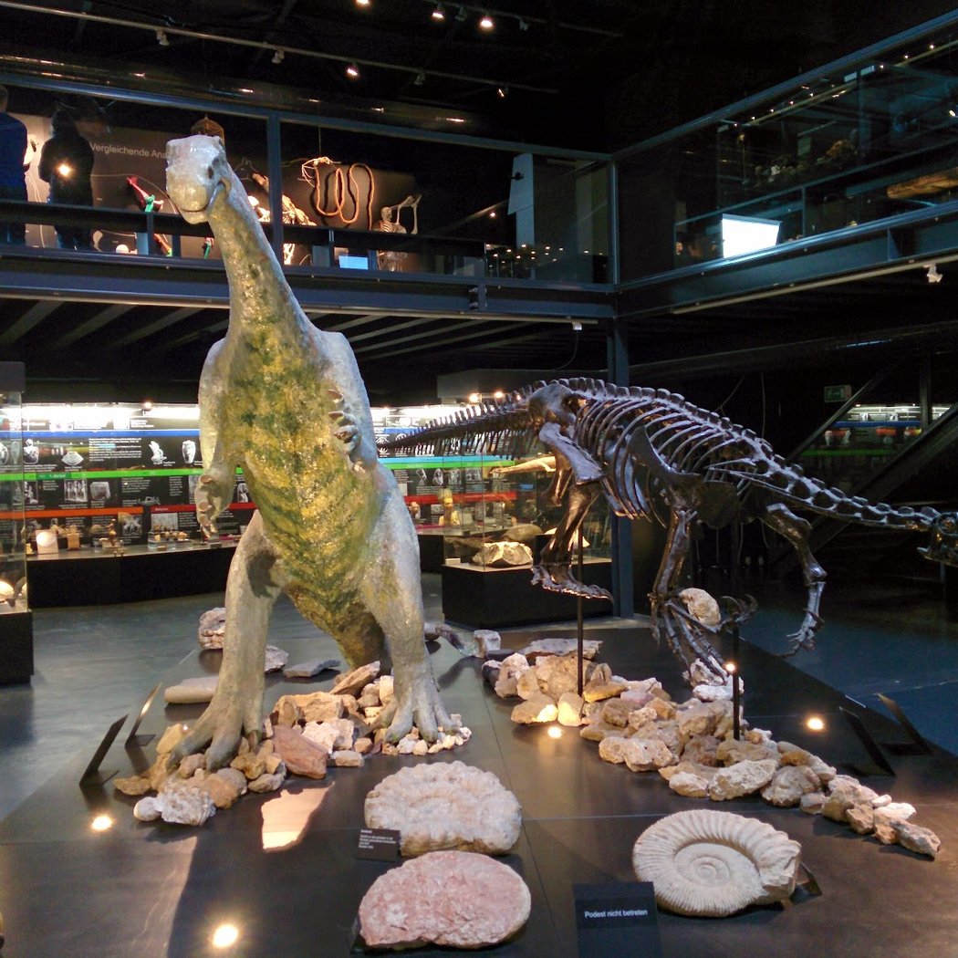Museumssafari 3