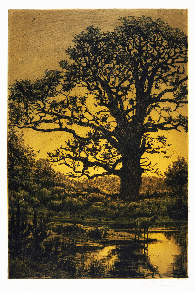 Atelier en famille Nature éphémère 1