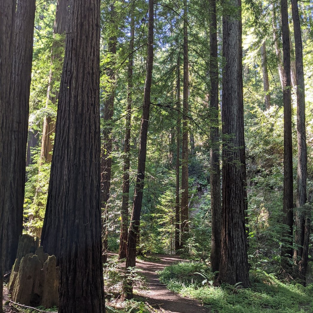 Take A Hike Challenge 2025 3