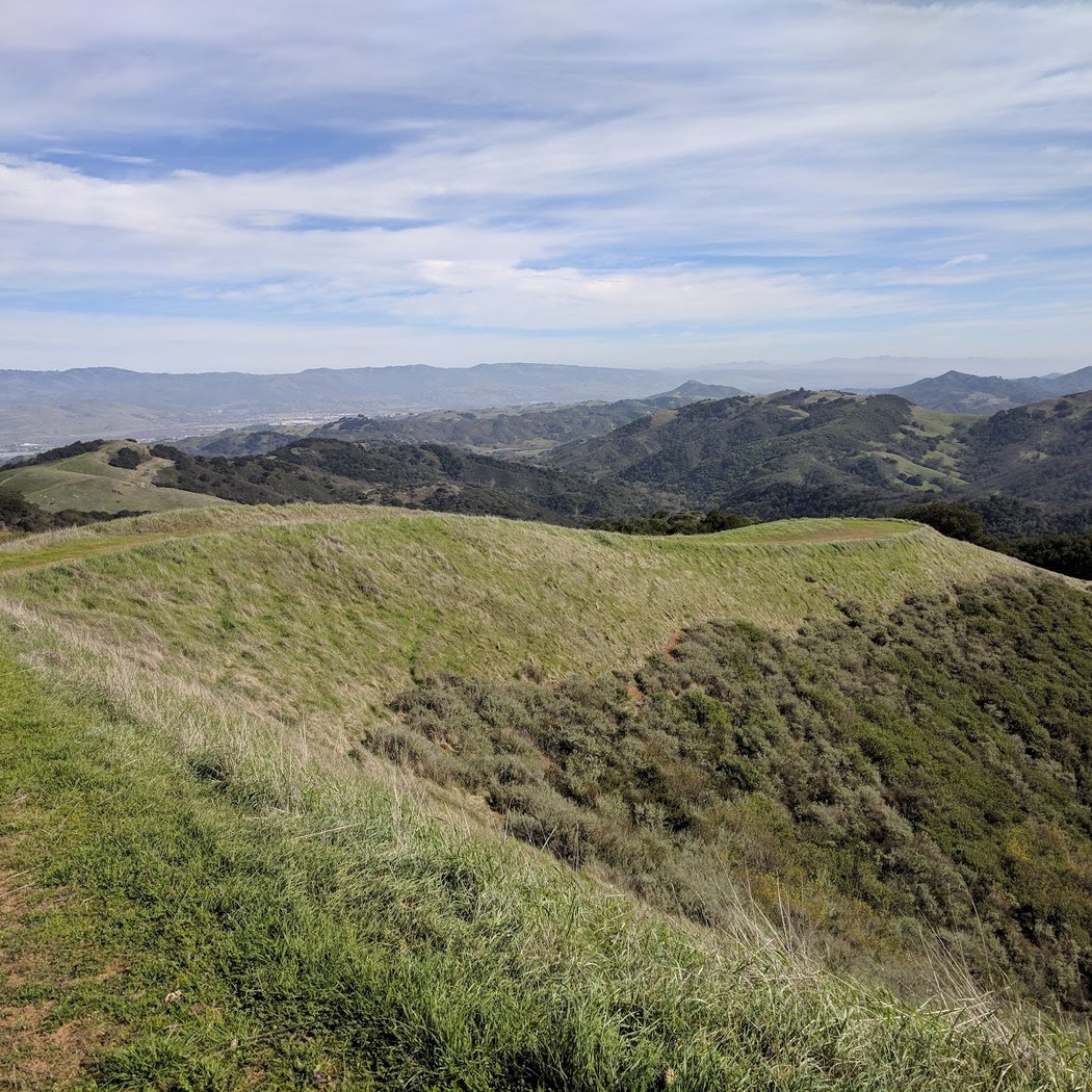 Santa Clara Valley Bird Alliance Event 2