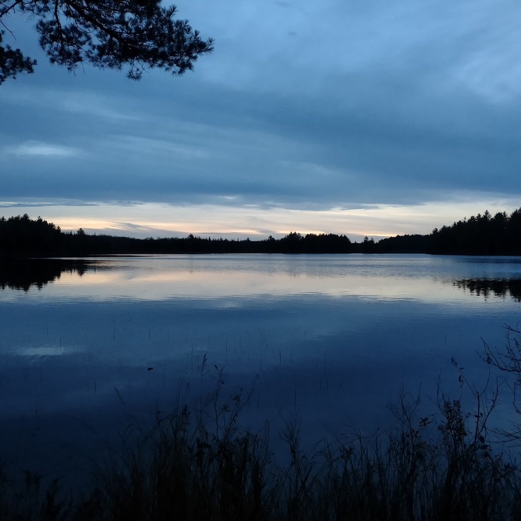 Pine Lake 3