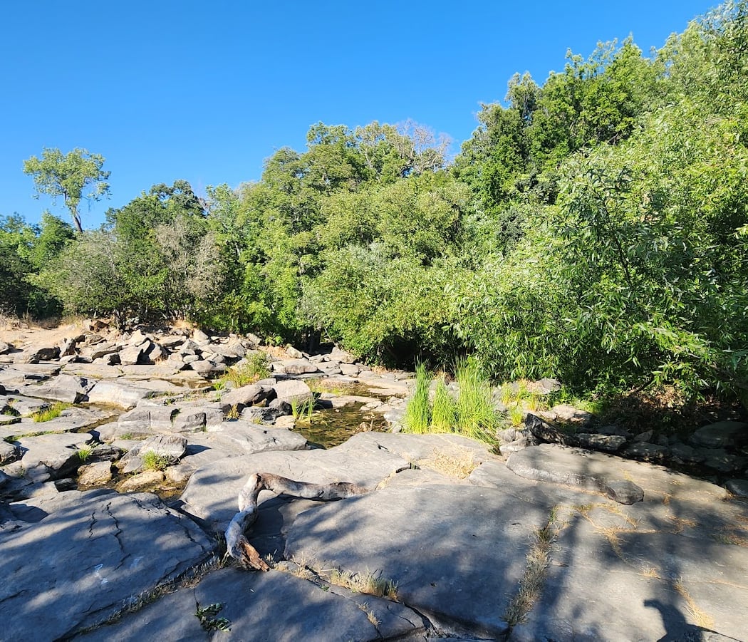 4th & Farmers Creek Trail 2