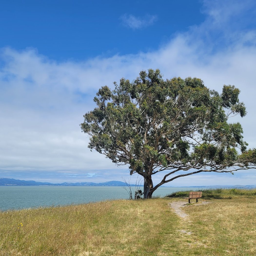 Point Pinole Regional Shoreline 1