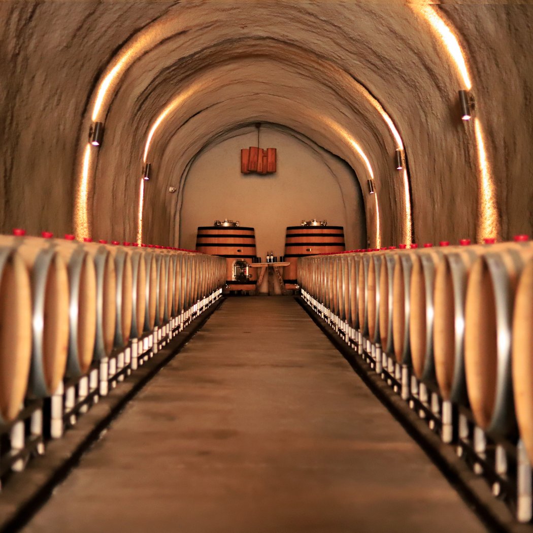Newton Vineyard 1