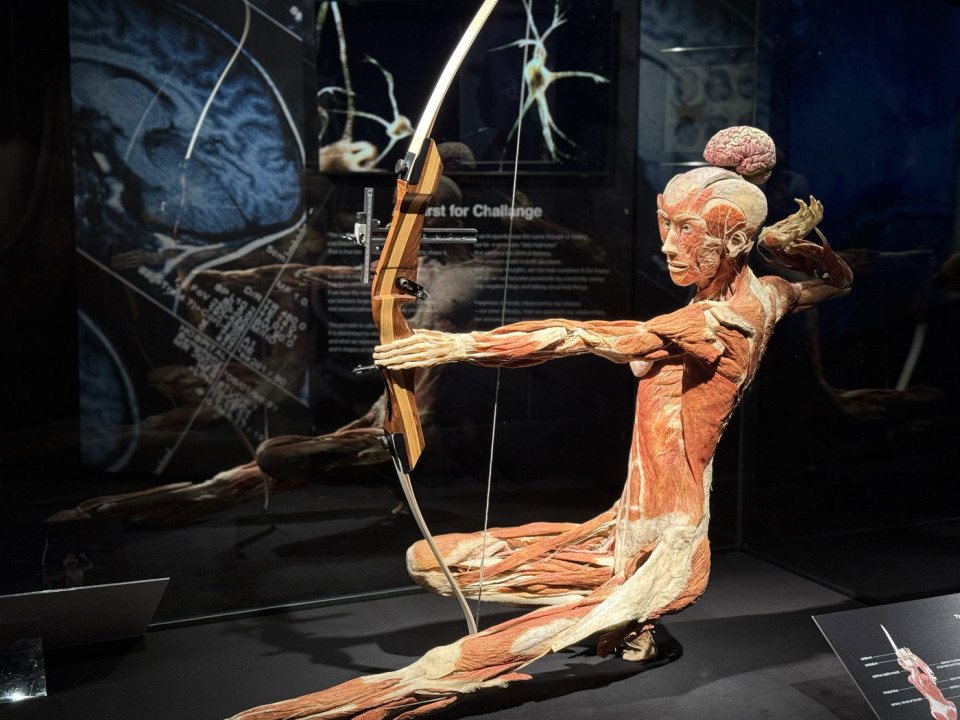Bodies – The Science Within 2