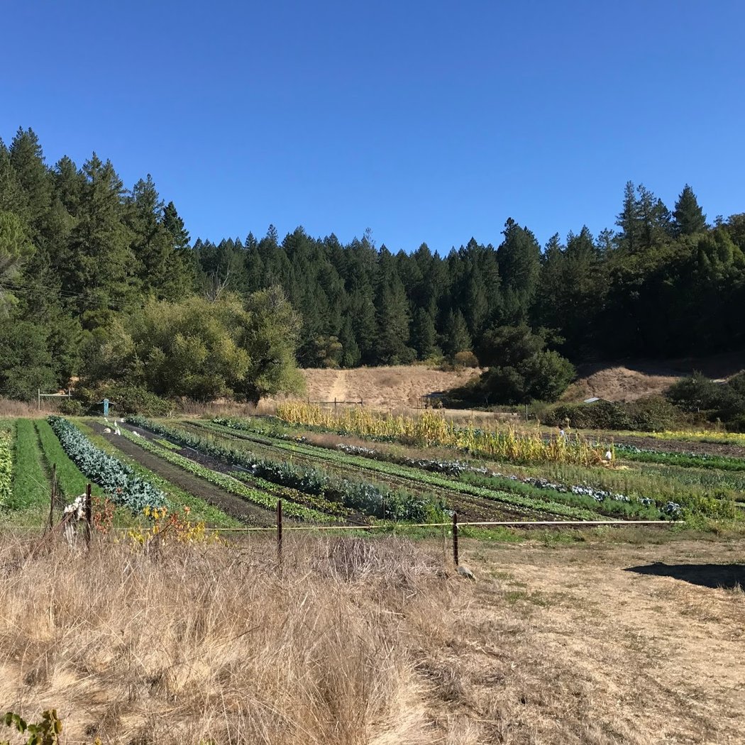 Green Valley Farm + Mill 2