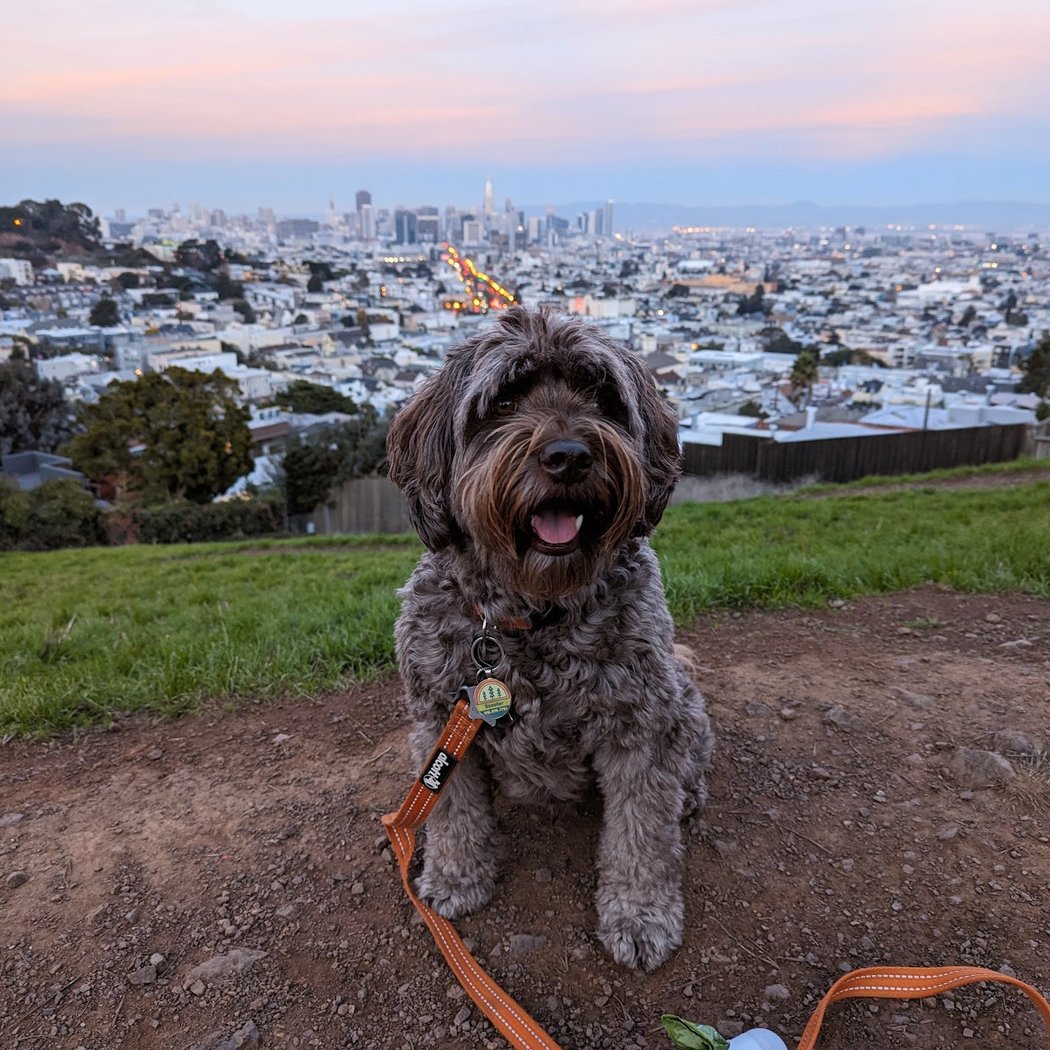 Kite Hill 1