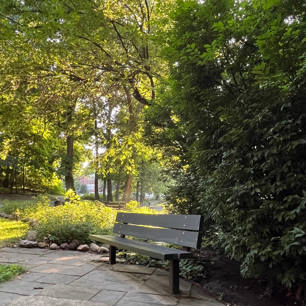 It's My Park at Brust Park 3