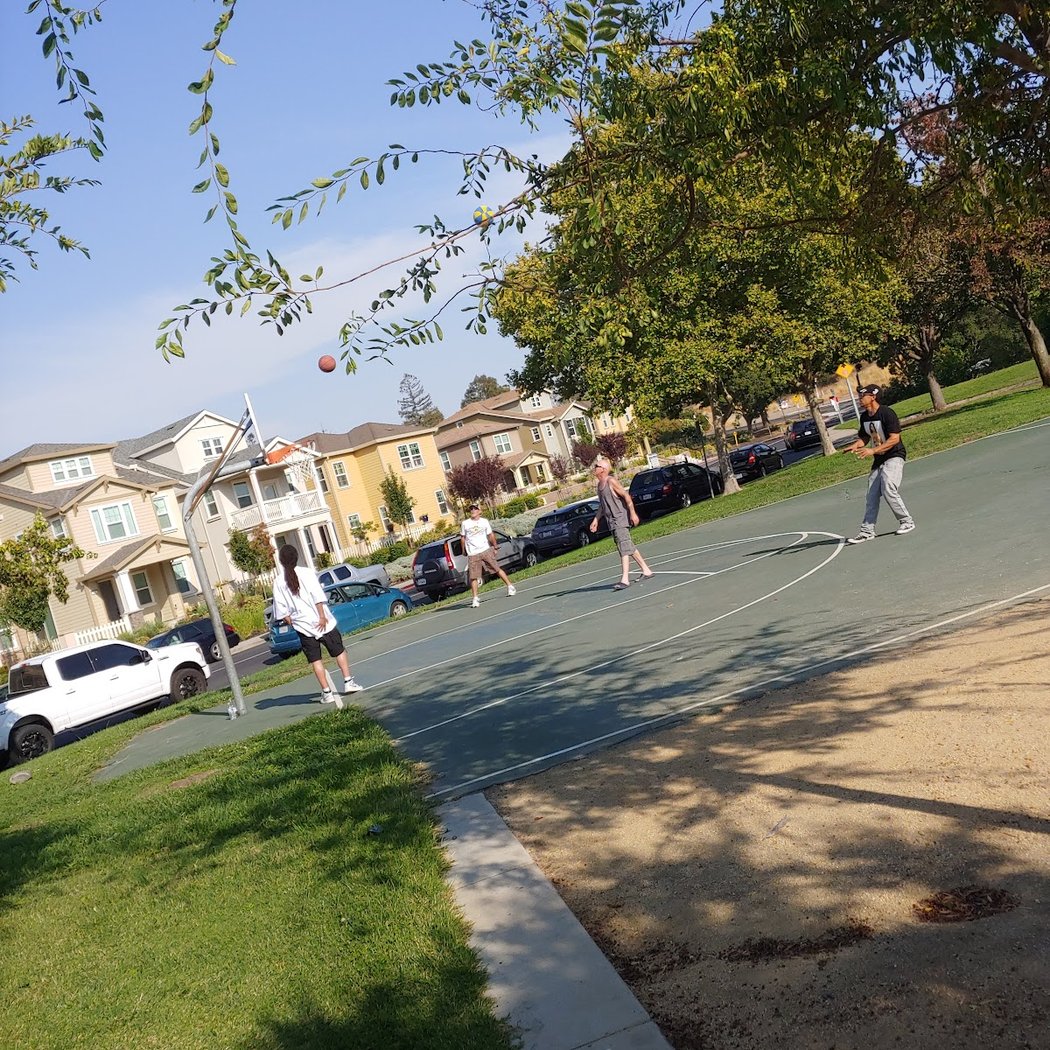 Mountain View Park 2