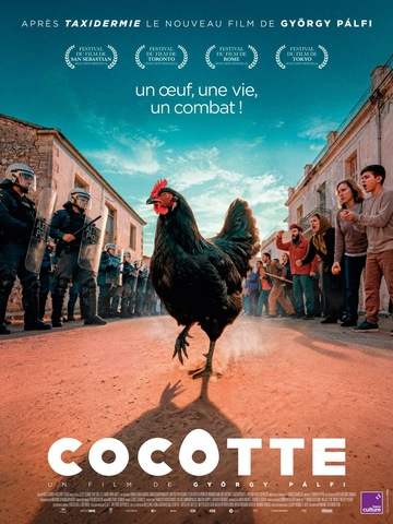 COCOTTE 1
