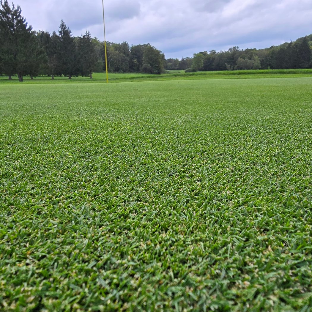 Apalachin Golf Course 3