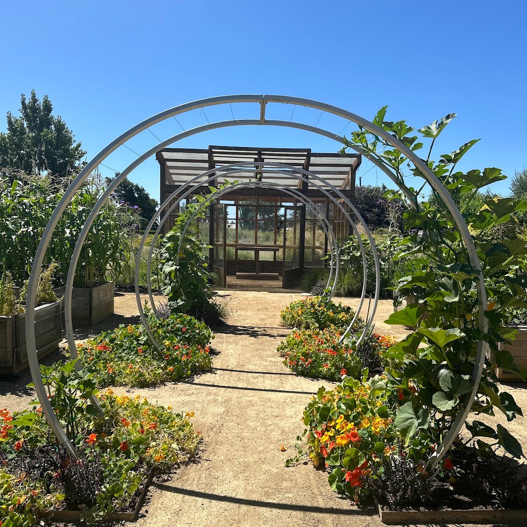 Cornerstone Sonoma 5